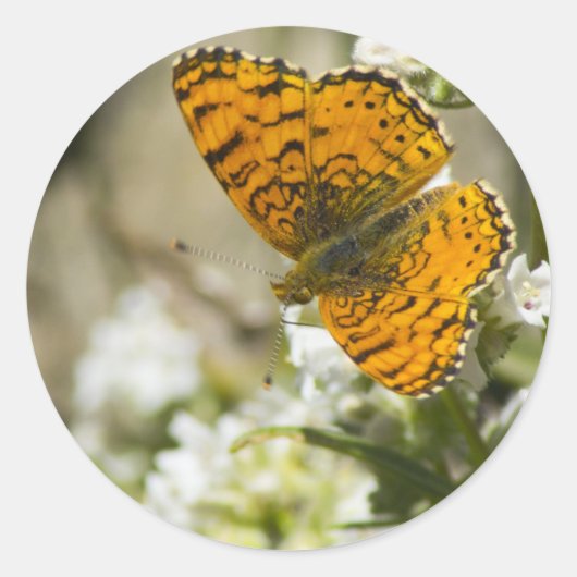 Oranje vlinder ronde sticker (Voorkant)