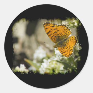 Oranje vlinder ronde sticker