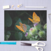  Oranje vlinderbloemfoto Tissuepapier (Craft)