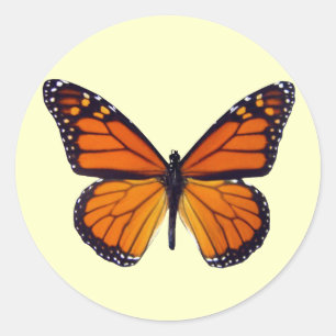Oranje vlinderstaartjes ronde sticker