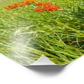 Oranje vlinderweide, Kansas Foto Afdruk (Hoek)