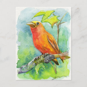 Oranje vogel briefkaart