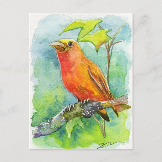 Oranje vogel briefkaart (Voorkant)