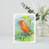 Oranje vogel briefkaart (Staand voorkant)