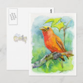 Oranje vogel briefkaart (Voorkant / Achterkant)