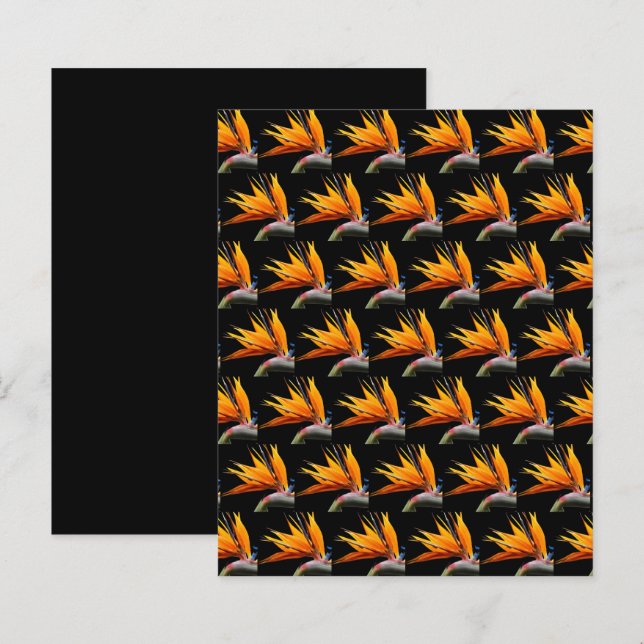 Oranje Vogel van Paradijs op Zwarte Scrapbook Papi (Voorkant / Achterkant)
