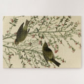 Oranje-volle Warbler, Amerikaanse vogels van Audub Legpuzzel (Horizontaal)