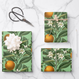 Oranje vruchtenbloesem met botanische Inpakpapier Vel
