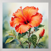 Oranje Water-Color Hibiscus Poster Print (Voorkant)