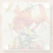 Oranje Waterverf Tiger Lily 1 Glazen Onderzetter (Achterkant)