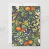 Oranje waterverf van citruspruimen botanische brui (Achterkant)