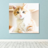 Oranje & White Kitten Canvas Afdruk (Insitu (Houten vloer))