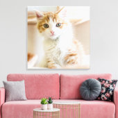 Oranje & White Kitten Canvas Afdruk (Insitu (Woonkamer))
