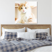 Oranje & White Kitten Canvas Afdruk (Insitu (Slaapkamer))