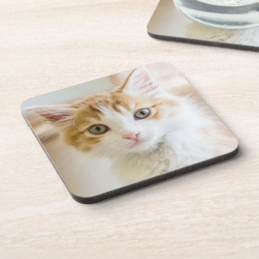 Oranje & White Kitten Drankjes Onderzetter (Linkerzijde)