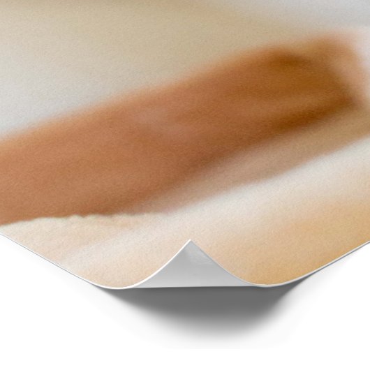 Oranje & White Kitten Poster (Hoek)