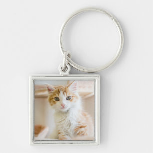Oranje & White Kitten Sleutelhanger