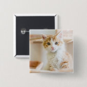 Oranje & White Kitten Vierkante Button 5,1 Cm (Voorkant /achterkant)