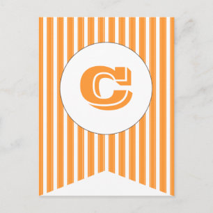Oranje   White Party Flag Bunting Banner Post Card Briefkaart