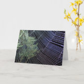 Oranje Wielwebspinspinweb Kaart (Gele Bloem)