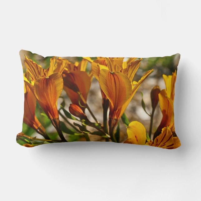 ORANJE WILD-SPRINGSTROMEN KUSSEN (Voorkant)