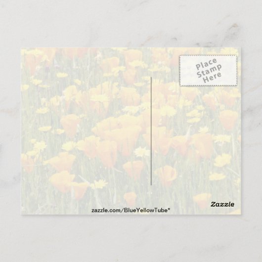 Oranje Wildbloemveld in Beer Valley, Californië Briefkaart (Achterkant)
