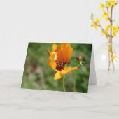 oranje wilde bloem kaart (Gele Bloem)