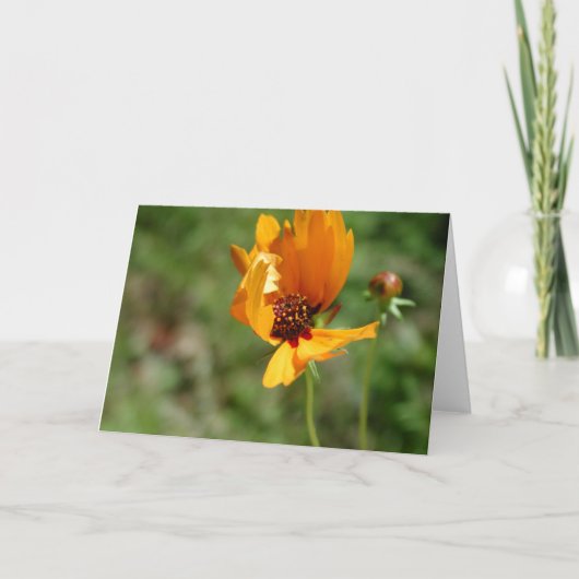 oranje wilde bloem kaart (Voorkant)