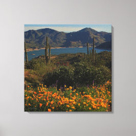 Oranje Wilde Bloem Saguaro Cactus Lake Uitzicht Ar Canvas Afdruk
