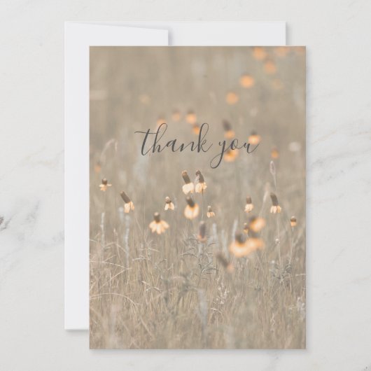 Oranje wilde bloemen in Meadow Flat Dank u kaart (Voorkant)