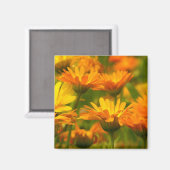 Oranje wilde bloemen magneet (Voorkant / Achterkant)