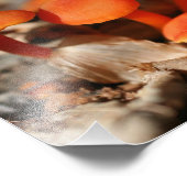 Oranje wilde paddenstoelen 10x8 Natuur Foto Afdruk (Hoek)