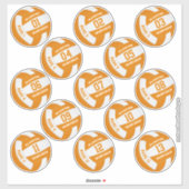 oranje wit 13 douanespelers volleyball sticker (Vel)