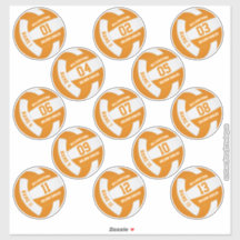 oranje wit 13 douanespelers volleyball