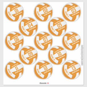 oranje wit 13 douanespelers volleyball sticker