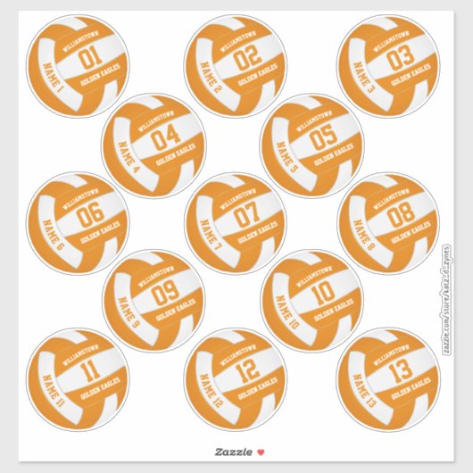 oranje wit 13 douanespelers volleyball sticker (Vel)