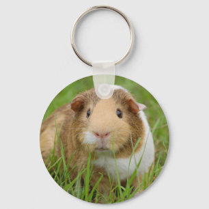 Oranje-wit cavia's in gras sleutelhanger