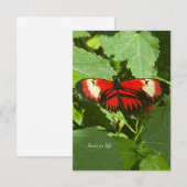 Oranje & witte vlinder notitiekaartje (Voorkant / Achterkant)