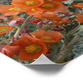 Oranje woestijnvloer in bloem poster (Hoek)