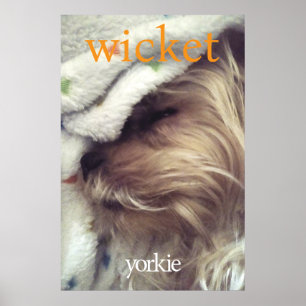 Oranje Yorkie Naam & Foto Poster