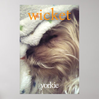 Oranje Yorkie Naam & Foto Poster