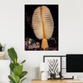 Oranje Zee pen met Quillback Rockfish Fine Art Poster (Thuiskantoor)