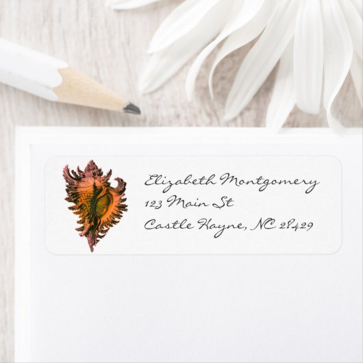 Oranje Zee Shell Labels (Insitu)