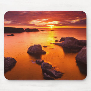 Oranje zeegezicht, zonsondergang, Californië Muismat