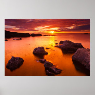 Oranje zeegezicht, zonsondergang, Californië Poster