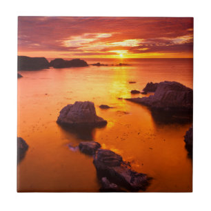 Oranje zeegezicht, zonsondergang, Californië Tegeltje
