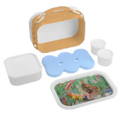 Oranje Zeemeerminnen Lunchbox (Gehele Product)
