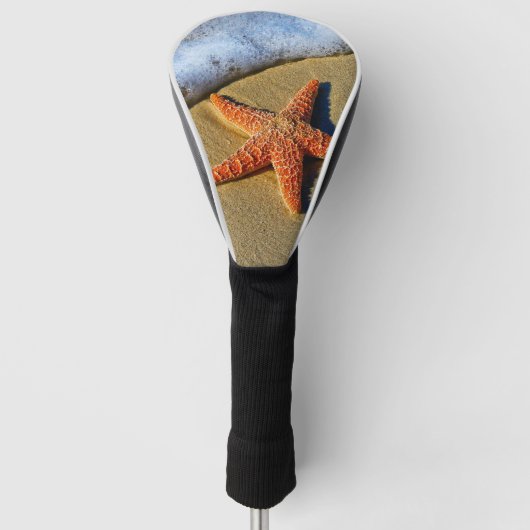 Oranje Zeester Op Strand Golfheadcover (Voorkant)