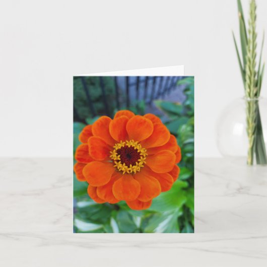 Oranje zinkbloem kaart (Voorkant)