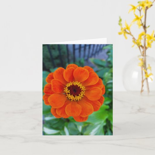 Oranje zinkbloem kaart (Gele Bloem)